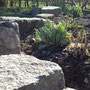 garms und gar gartengestaltung 