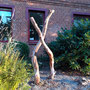 garms und gar gartengestaltung