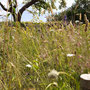 garms und gar gartengestaltung