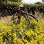  garms und gar gartengestaltung 