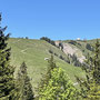 Blick zurück zum Kronberg