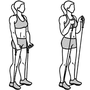 Travail des biceps