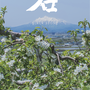 黒石市様 タペストリーを制作させていただきました。