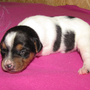 06.02.2015 - Aileen - 12 Tage alt 