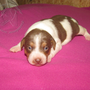06.02.2015 - Aimy - 12 Tage alt 