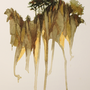  Vertical 2023, Artista leonardo Calvo, acquarello , Watercolor
