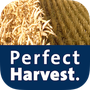 Perfect Harvest