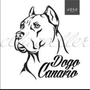 Dogo Canario