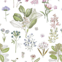 391/White Botany