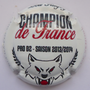 Marque : VENOGE (de) N° Lambert : 229 Couleur : Polychrome Description : LOU champion - nom de la marque  Emplacement : 