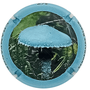 Gen - 1342a - Strophaire bleue