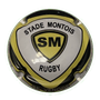 CAPS Photo - Stade Montois