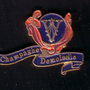 Pin's Vranken