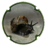 Cava Balandrau MBAU138560