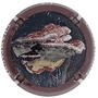 Gen - 1342 - Polypore Marginé