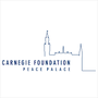Position paper maken voor de Carnegie Stichting