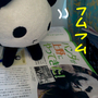 新幹線の中でパンダの記事を読んだよ。