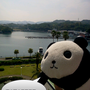 和歌山にパンダに会いにきました！