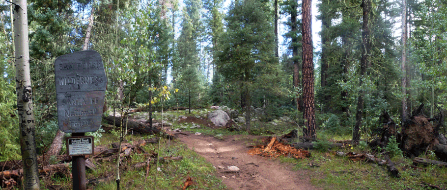 San Pedro Parks Wilderness, Clear Creek, Santa Fe National Forest, Jemez Mountains, New Mexico