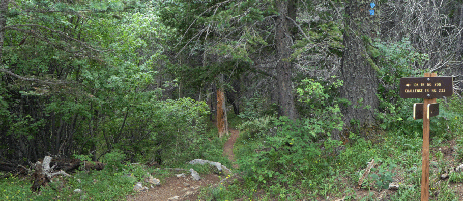 10K Trail, Challenge Trail, Sandia Mountains, Cibola National Forest, New Mexico