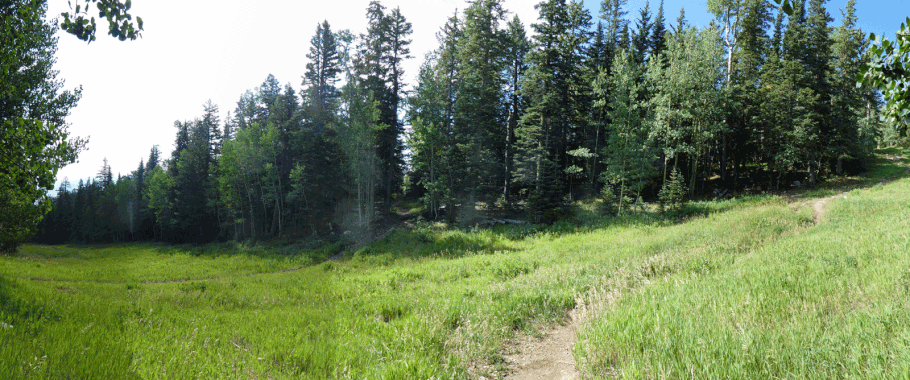 Sandia Mountains, Cibola National Forest, New Mexico
