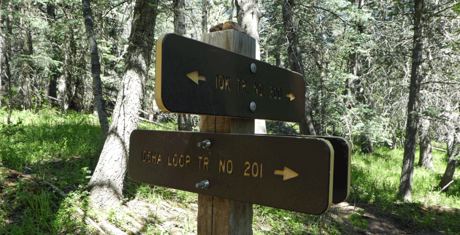 10K Trail, Osha Loop Trail, Sandia Mountains, Cibola National Forest, New Mexico