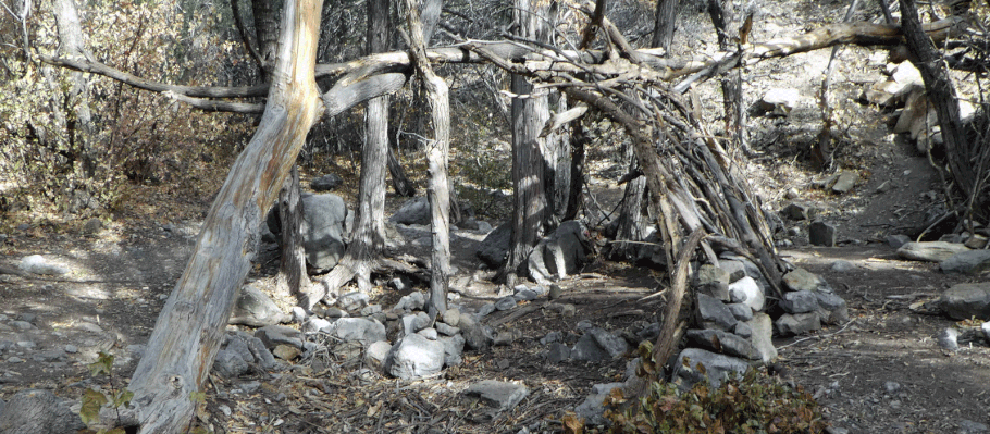 Crest Trail, Sandia Mountains, Cibola National Forest, New Mexico