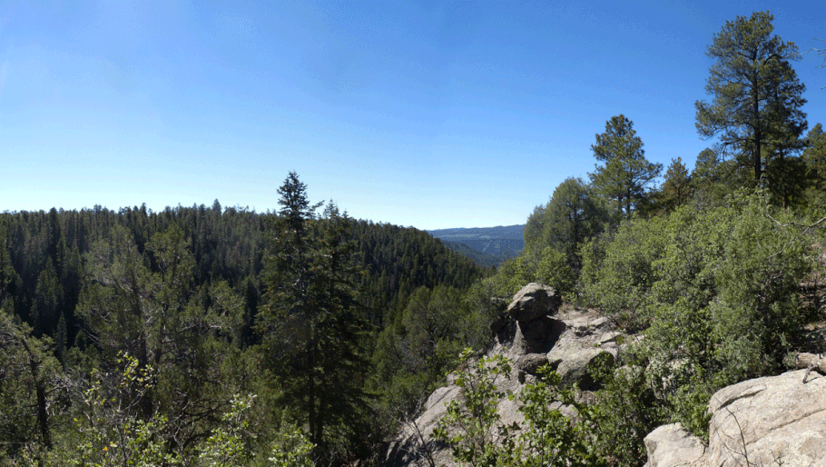 Cebollita Canyon, Stable Mesa, Jemez Mountains, Santa Fe National Forest, New Mexico