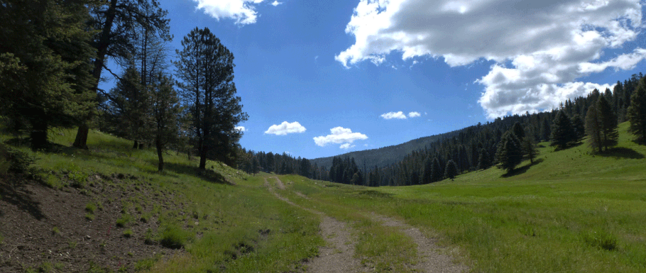 Alamo Canyon, meadow, Valles Caldera, Jemez Mountains, New Mexico