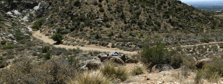 A Sunday stroller taking a nap along the lower Embudito Trail. The Albuquerque suburbs can be seen in the upper right corner of the photo.