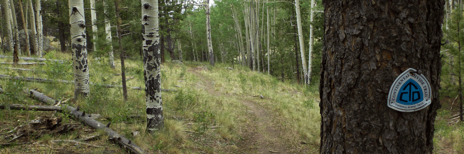 CDT, Continental Divide Trail, Mount Taylor, hike, hiking, backpacking