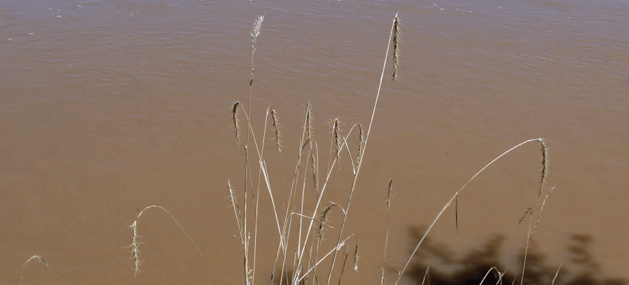 Special thanks to the Rio Grande in Albuquerque, for providing the water used in the test.