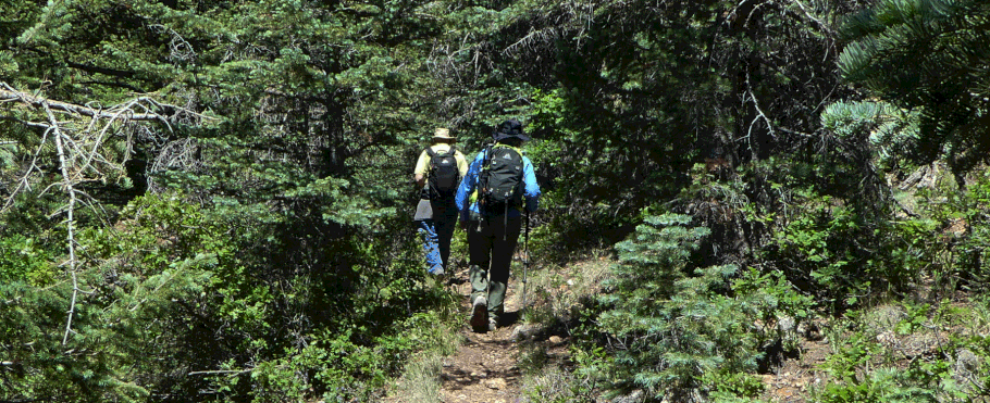 Osha Loop Trail, Sandia Mountains, Cibola National Forest, New Mexico