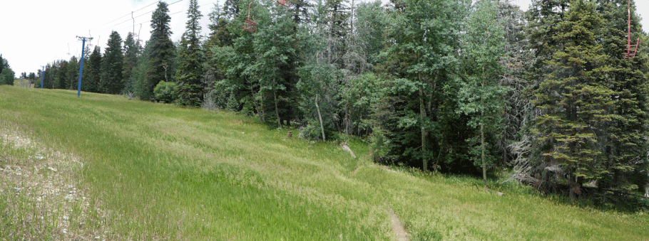 10K Trail, Sandia Mountains, Cibola National Forest, New Mexico