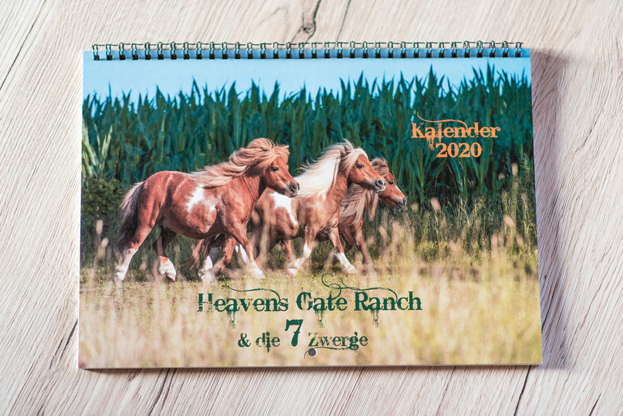 Heaven´s Gate Ranch; Shetlandpony; Shetty; Minipony; Pferdekalender;