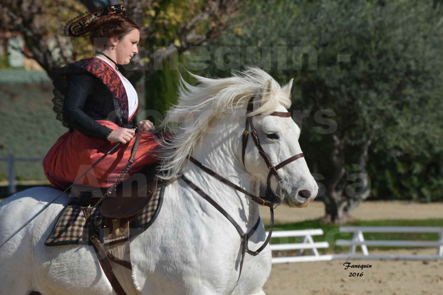 Concours Élégance d'Amazone au Haras d'UZES en Octobre 2016 - Léa CONTE - Portrait