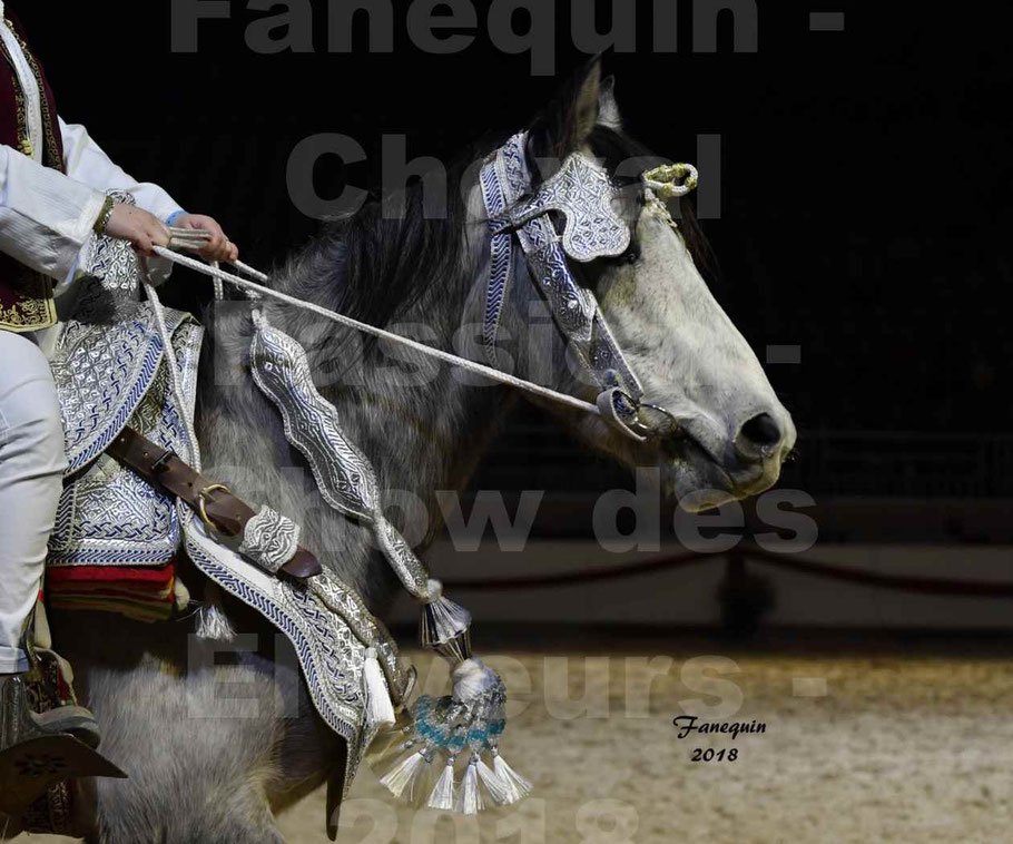 Cheval passion 2018 - Show des éleveurs - Chevaux BARBES - Portrait