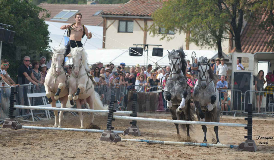 POSTE HONGROISE à 4 chevaux