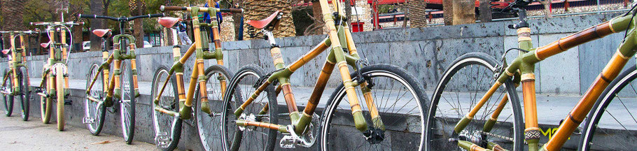 Bamboo Bike Tours bamboo bicycles different models
