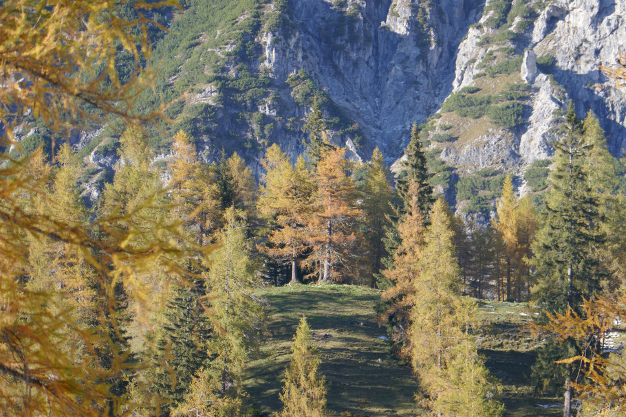 Raum und Mensch Erwin Frohmann Dachstein Südwand Ramsau Steiermark