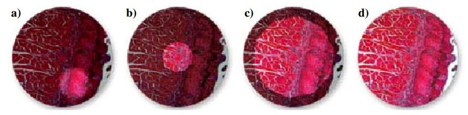 Réglage de Köhler document Claude Gonon Microscopie