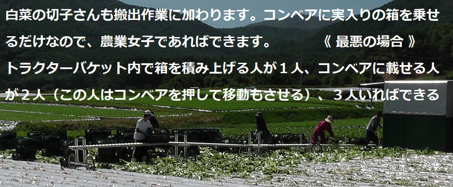 【楽送装置】白菜の搬出作業ー３メートルのローラコンベア４本　＆　直列二輪コンベア台車（１５年モデル）５台ご導入