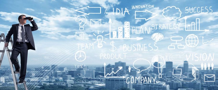 consultor de erp que esta viendo a lo lejos para buscar como ayudar a otros a implementar su erp y mejorar su potencial