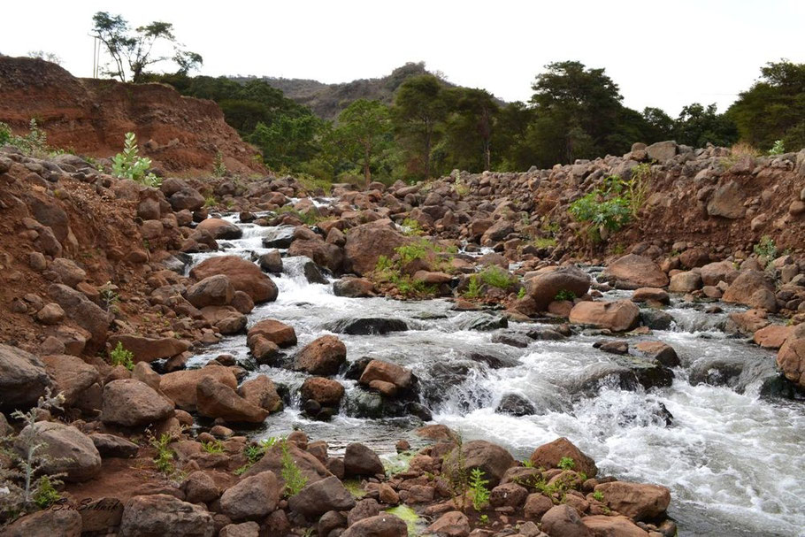 Bij Tanzania denkt men vaak aan de droge, kale en dorre vlaktes van de Serengeti. Een beeld wat maar deels waar is, want het is tevens een land dat je kan verrassen zoals in Mto wa Mbu, waar het groen is en waar veel water te vinden is.