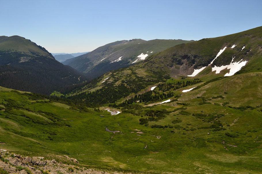 Uitzicht vanaf Alpine Ridge