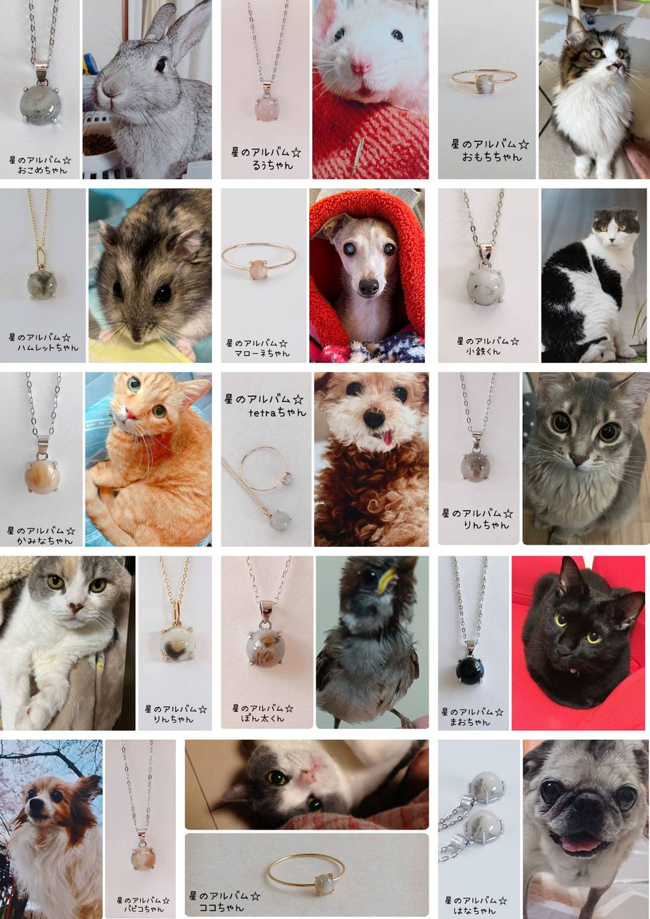 ペットセレモニーお星さまにご依頼いただいたペット遺骨アクセサリーの画像一覧