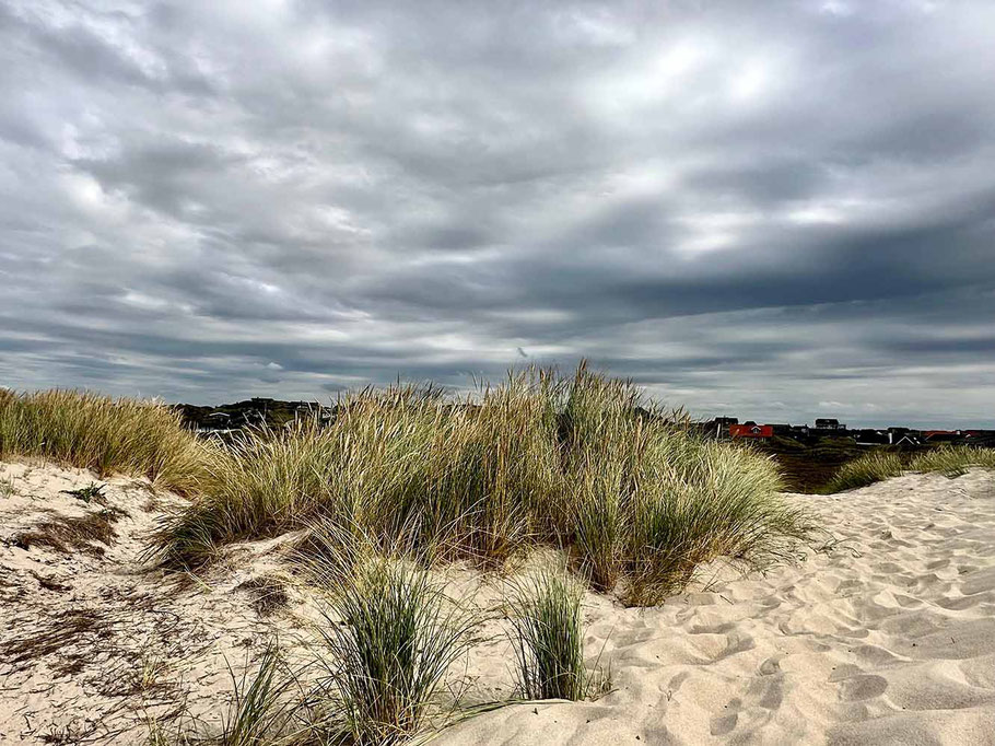 Weite Dünenlandschaft bei Ringkøbing in Dänemark.