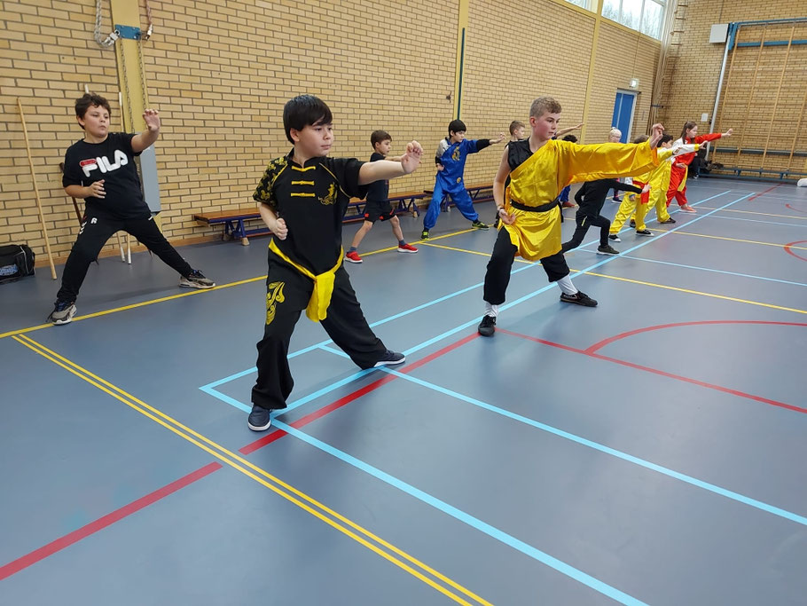 Shaolin Tigers 