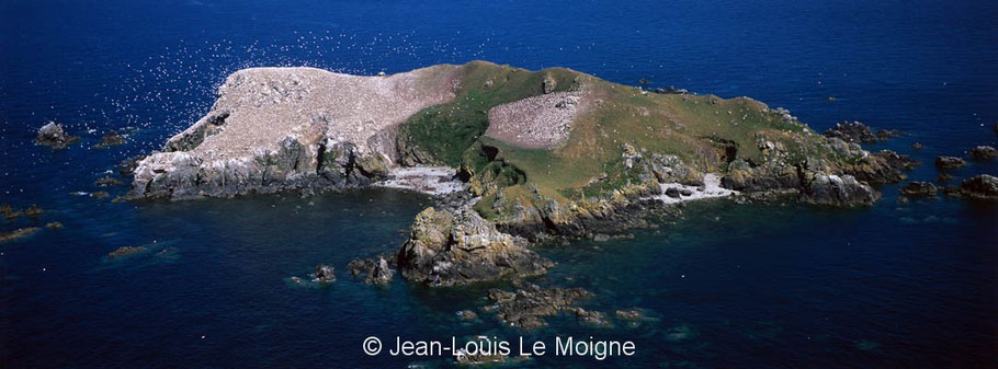 Rouzic vue de l’ouest,  photo Jean-Louis Le Moigne