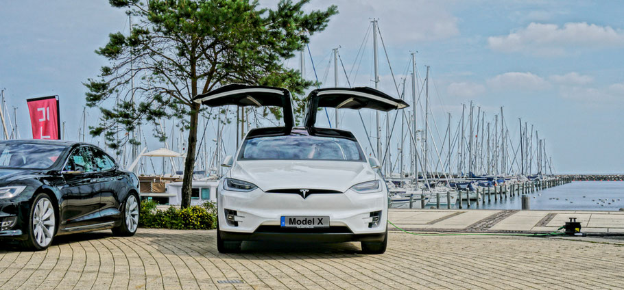 elektronisches Fahrtenbuch Tesla Model X
